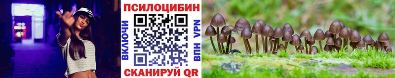 Галлюциногенные грибы Psilocybine cubensis  Княгинино 